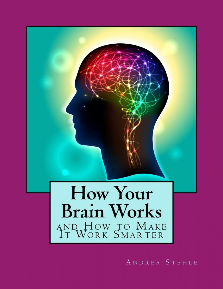 Stehle How Brain Works